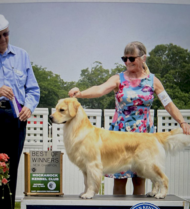 thornelea goldens hanna new ch